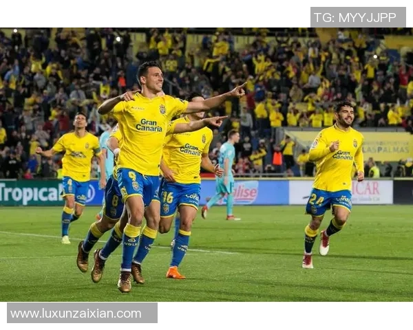 各大足球球星特点对比解析 从技术风格到场上表现全方位剖析